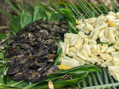 a pile of food on top of green leaves at PeciJosh Homestay in Ngunu