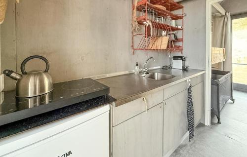 a kitchen with a sink and a tea kettle on the counter at 1 Bedroom Gorgeous Home In Vlissingen in Vlissingen