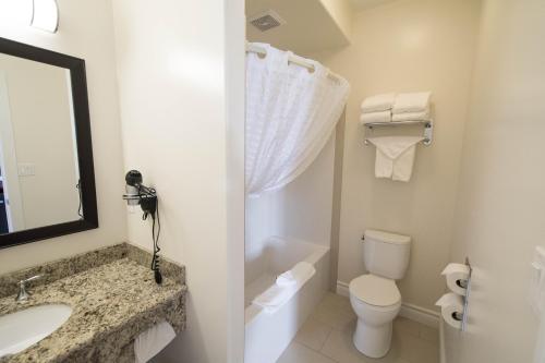 a bathroom with a toilet and a sink and a mirror at Nova Inn Manning in Manning