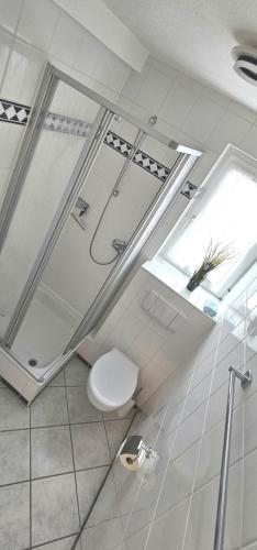 a bathroom with a toilet and a window at Apartment "Seeschwalbe" mit sonnigem Südbalkon Sauna und Parkplatz - 200m zum Deich in Holssel