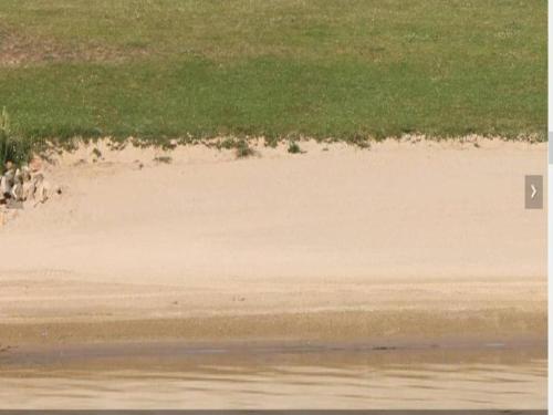 a sandy beach with some grass and some water at Chalet with Pond View in Gelderland in Lathum