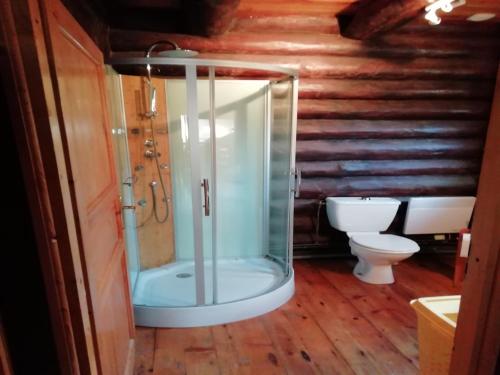 une salle de bain avec douche et toilettes dans l'établissement Chalet near Lake and Pool in Quend-Plage, cleaning included, à Quend-Plage