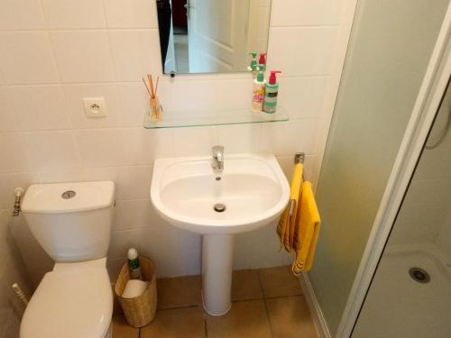 une salle de bain avec un lavabo, des toilettes et un miroir dans l'établissement Villa in Les Forges with Golf Access, cleaning included, à Les Forges