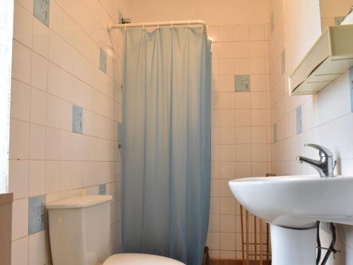 une salle de bain avec une douche, des toilettes et un lavabo dans l'établissement Holiday Home in Berbiguières near Castles, cleaning included, à Berbiguières