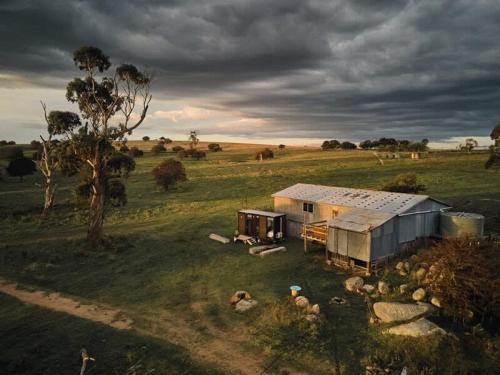 a small shed in the middle of a field at Farm Stay Tiny House by Tiny Away in Braidwood