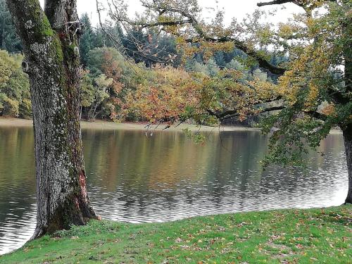a tree sitting next to a body of water at Modern holiday home in Crux-La-Ville with terrace in Crux-la-Ville