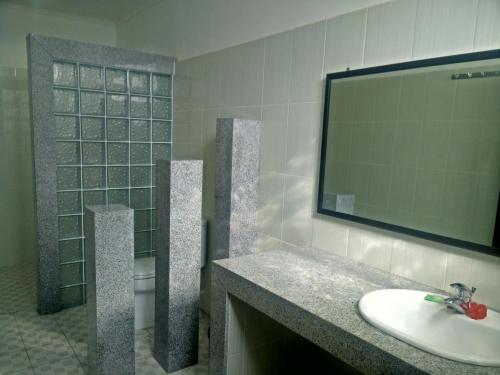 ein Badezimmer mit einem Waschbecken, einem Spiegel und einem WC in der Unterkunft Puri Rai Hotel in Padangbai