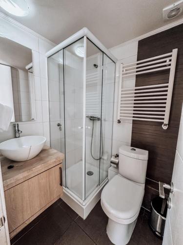 a bathroom with a shower and a toilet and a sink at Vista Nevada in Nevados de Chillan