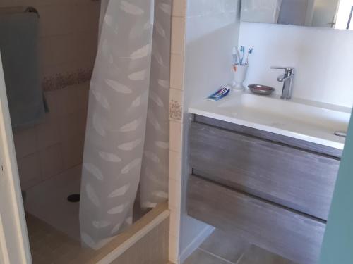 une salle de bain avec un lavabo et une douche dans l'établissement Superbe T2 Rez-de-jardin, 4 Pers, Proche Mer, Parking Sécurisé, Animaux Acceptés - FR-1-798-21, à Leucate