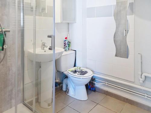 un bagno con wc, lavandino e doccia di Studio proche mer à Saint-Aubin-sur-Mer - FR-1-746-32 a Saint-Aubin-sur-Mer