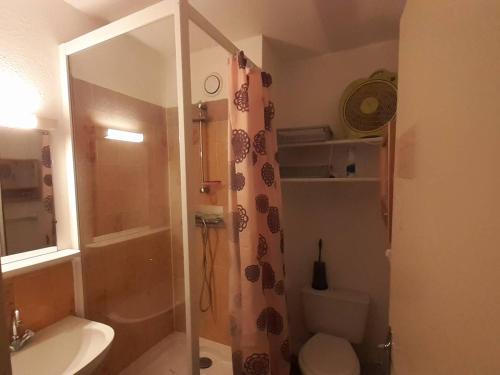 une salle de bain avec une douche, des toilettes et un lavabo dans l'établissement Studio vacances Le Barcarès, vue port, terrasse, parking - FR-1-782-81, au Barcarès