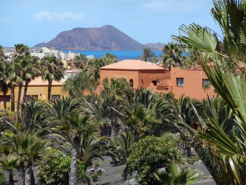 a resort with palm trees and a mountain in the background at Oasis Royal in Corralejo