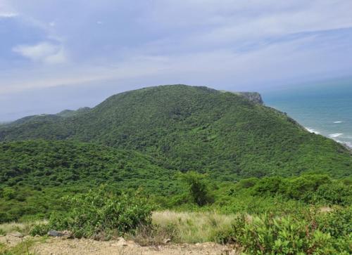 a green mountain with the ocean in the background at Sunrise On Sea Backpackers in Port St Johns