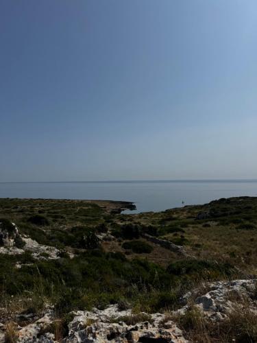 a view of a field with the ocean in the background at LocusAmoenus in Plemmirio