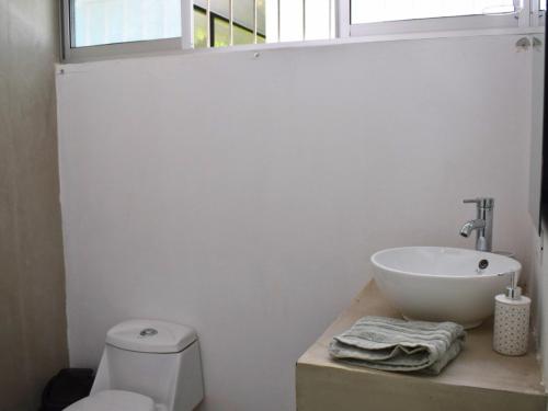 Gallery image of Sloth Villas in Turrialba