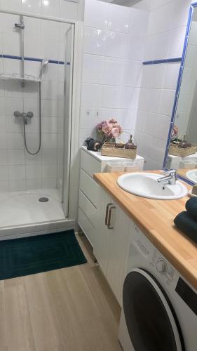 La salle de bains est pourvue d'un lavabo, d'une douche et d'un lave-linge. dans l'établissement Appartement Port avec vue Mer juste devant les Bateaux, à Sanary-sur-Mer