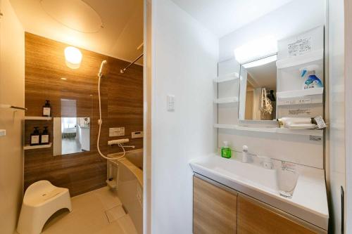 a bathroom with a sink and a toilet and a mirror at Twinberry CHITOSE in Chitose