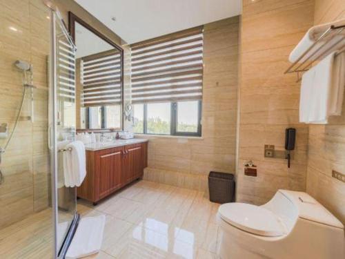 a bathroom with a toilet and a sink and a shower at YUN-RAY Hotel Shijiazhuang in Shijiazhuang