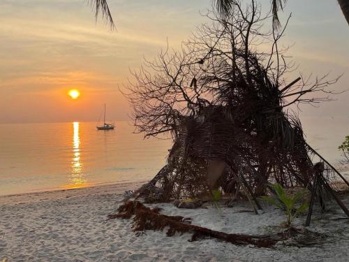 a tree on a beach with a boat in the water at Beachfront Tiny House, Koh Samui, Thailand with FREE Rowboat in Amphoe Koh Samui