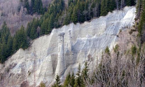 Une montagne avec des arbres sur son côté dans l'établissement Les chalets Super Geants, à Saint-François-Longchamp