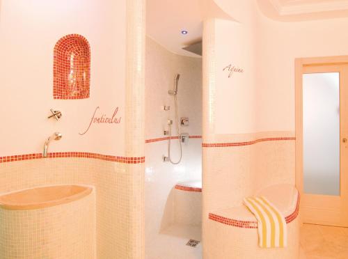 a bathroom with a shower and a toilet at Hotel Mühle Mayer in Termeno