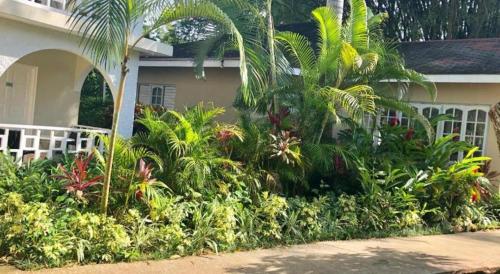 a garden in front of a house with palm trees at Gold Nugget Hotel in Negril