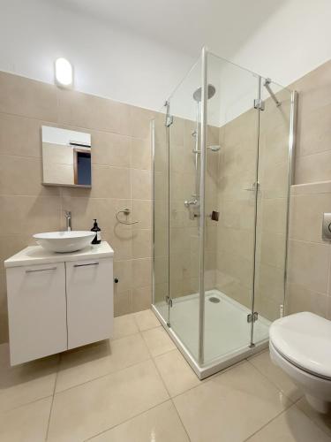 a bathroom with a shower and a sink and a toilet at Farkas Vendégház Szabolcs in Szabolcs