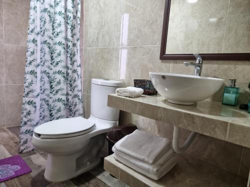 a bathroom with a toilet and a sink at Hostal K & A in Zacatlán