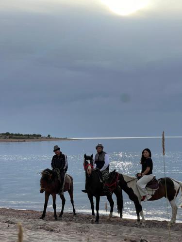 a group of people riding horses on the beach at Tunuk Guest House in Tossor