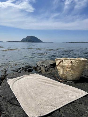 a blanket and a basket on the rocks near the water at Bright & Spacious Apartment by the Sea, Free Parking, 10min to Airport, 12min to Ålesund in Ytterland