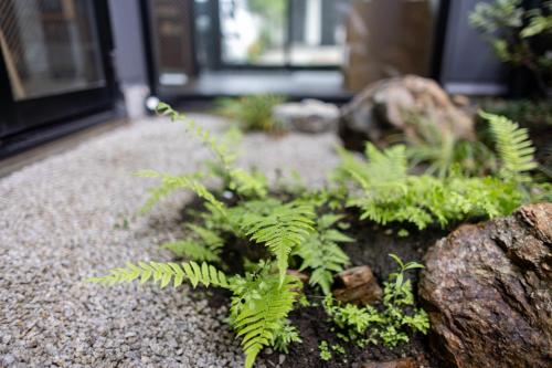 a green plant in front of a house at MADOKA Kyoto station west in Kyoto