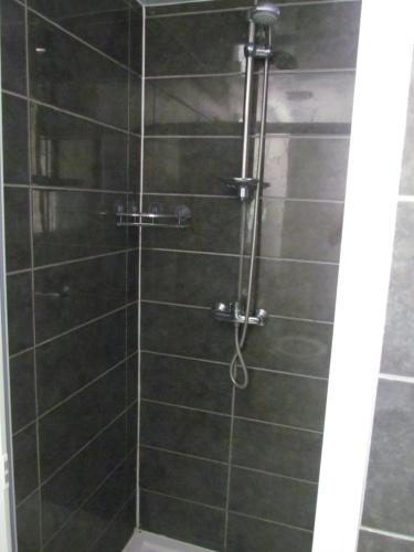 ベルジュラックにあるgîte de la Claveilleの黒いタイル張りの壁のシャワー