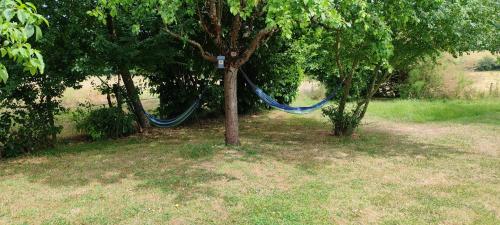 a blue hammock hanging from a tree in a yard at Gîte 4 pers proche cure thermale, Futuroscope, calme et nature à La Roche Posay in La Roche-Posay