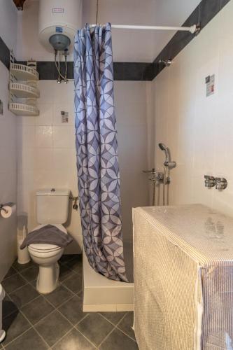 a bathroom with a toilet and a shower curtain at Kondylis Cottage in Provatas