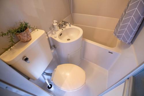 a small bathroom with a toilet and a sink at Lazurite GUESTHOUSE Pear Field in Inagi