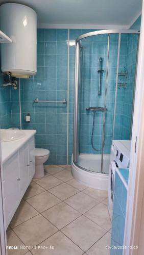 une salle de bain avec une douche, des toilettes et un lavabo dans l'établissement F2 tout confort, les pieds dans l'eau, PORTICCIO, à Grosseto-Prugna