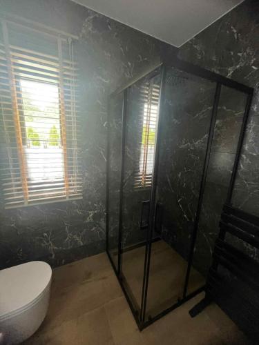 a bathroom with a shower and a toilet in it at Dom ARCHITEKTA 