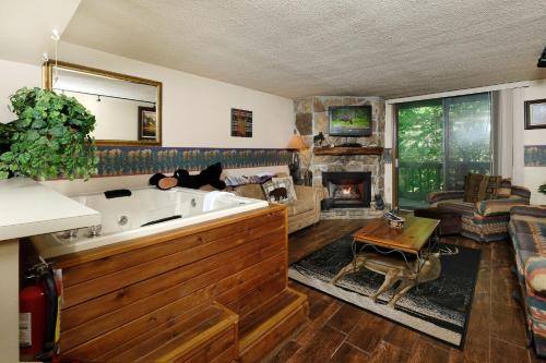 a living room with a tub and a fireplace at Bear Creek 167 in Gatlinburg