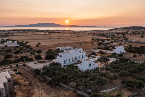 Dreamlike Studio Aurea Blu, nature, relaxation, pure