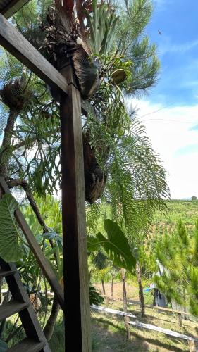 a wooden fence with a palm tree in a field at Đen Hill Home The Wooden in Ðại Lào