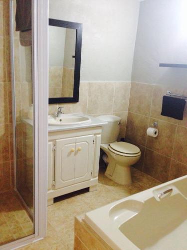 a bathroom with a toilet and a sink and a mirror at Sunshine Lodge in Jeffreys Bay