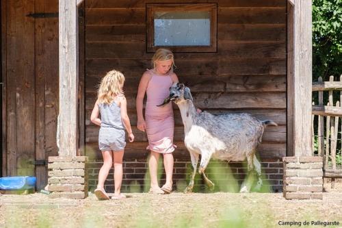 a woman and a little girl standing next to a goat at Sola Lodge - Luxe chalet in natuur Overijssel in Mariënberg