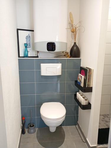 La salle de bains est pourvue de toilettes et de carrelage bleu. dans l'établissement La Belle Florentine, à Saint-Florent-le-Vieil