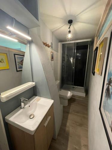 une salle de bain avec un lavabo et des toilettes dans l'établissement Le Maraîcher Maison avec piscine à Collonges, à Collonges