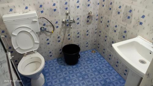 a bathroom with a toilet and a sink at Hazarika Lodge and Homestay in Tezpur