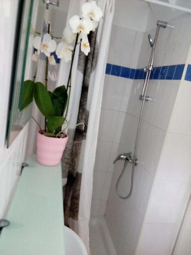 La salle de bains est pourvue d'une douche avec une plante en pot. dans l'établissement Studio, à Vic-en-Bigorre