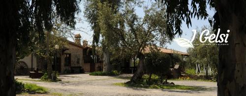 a house with a tree in the middle of a driveway at Agriturismo I GELSI in Francavilla Marittima