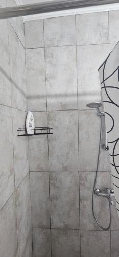 a bathroom with a shower with a shower head at Sîrbu Orsova in Orşova
