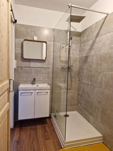 une salle de bain avec douche et lavabo dans l'établissement Charmant appartement, en plein centre historique !, à Avignon