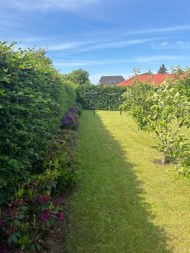 a row of trees with grass and purple flowers at Casa Jakobsen in Randers